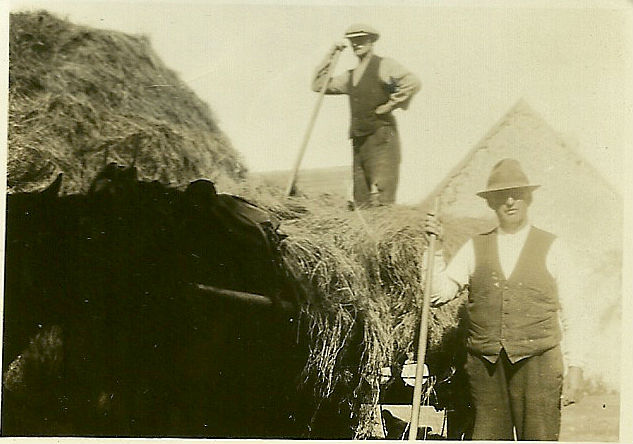 Haymaking in Kerry c. 1920